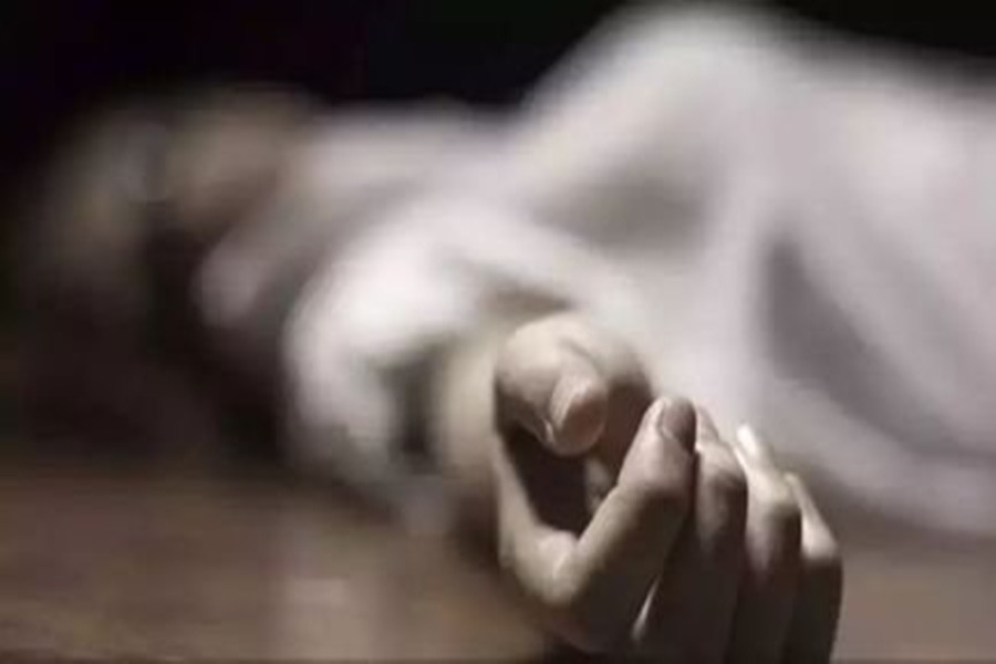 1533026464533106.jpg 29.jpg