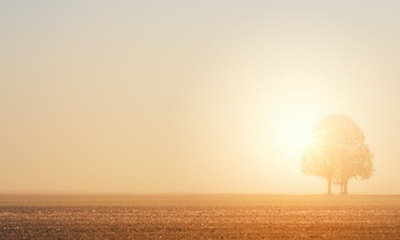 1684484412711857.jpg 233.jpg